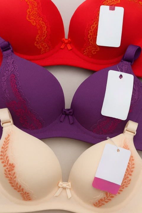 Silk Embroidered Padded Bra