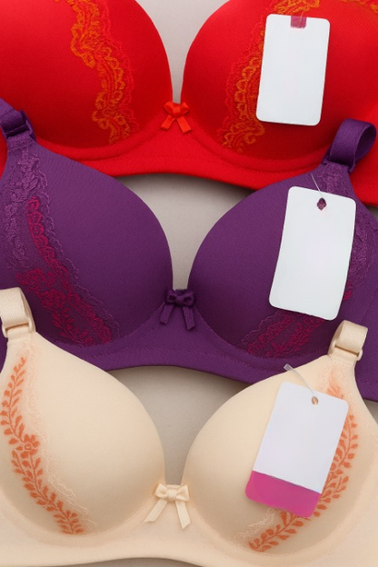 Silk Embroidered Padded Bra